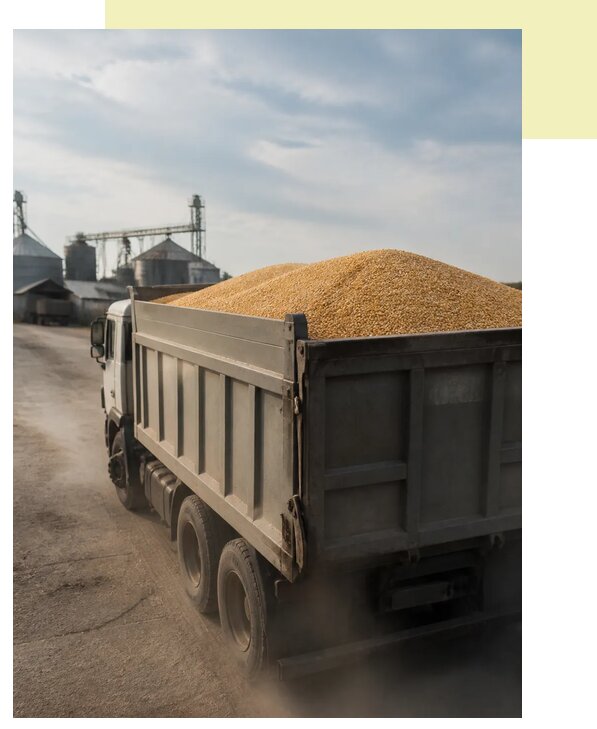 Перевозка сельхозпродукции навалом в Ханты-Мансийск по цене от 3063 р. | Агросервис-Хнт